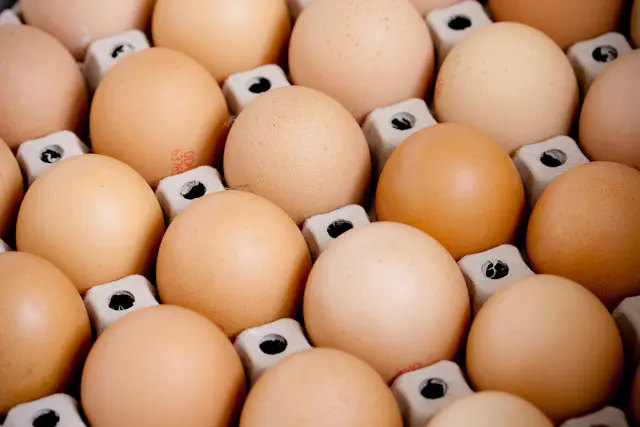 Oeufs (x6)