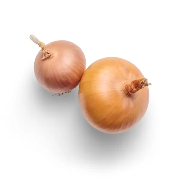 Oignons