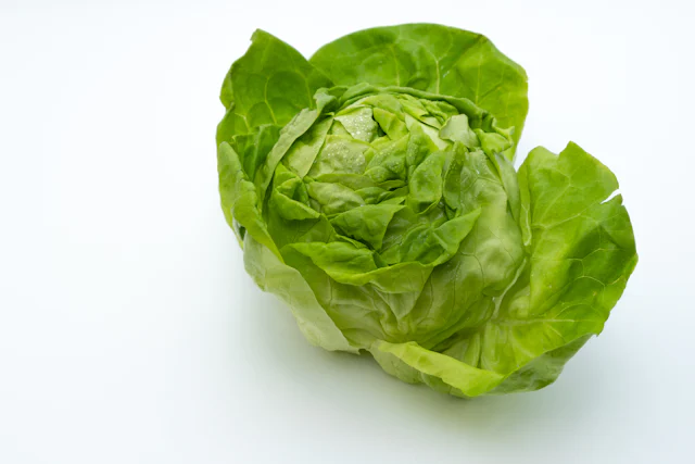 Salade